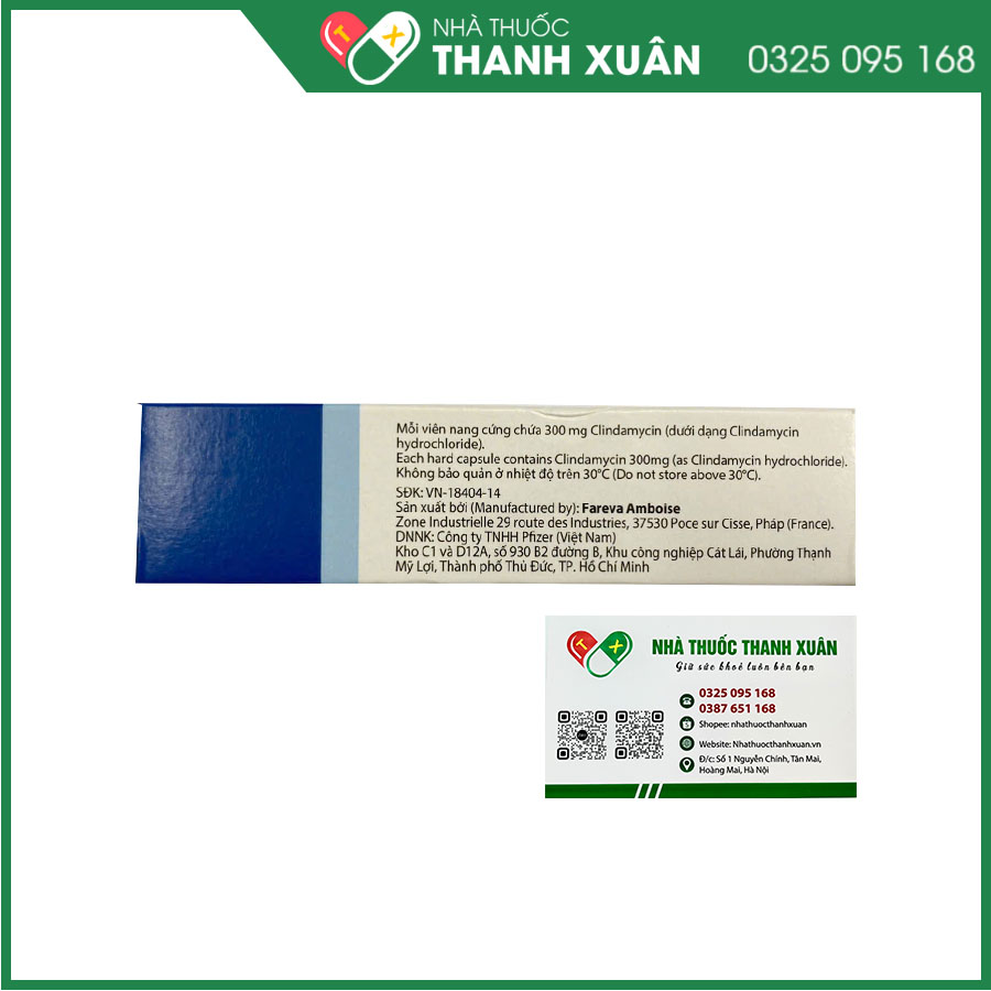 Dalacin C 300mg thuốc kháng sinh điều trị nhiễm khuẩn